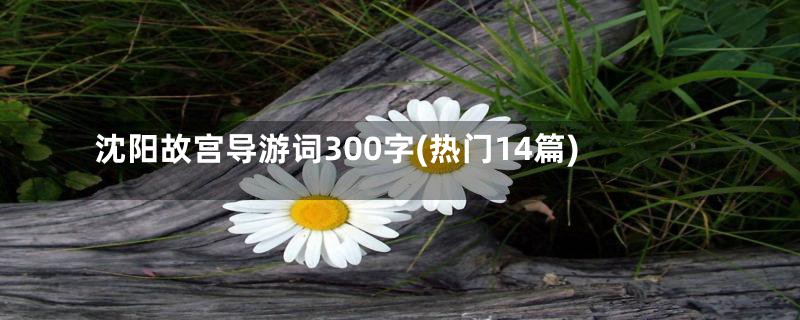 沈阳故宫导游词300字(热门14篇)