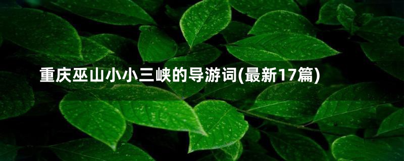 重庆巫山小小三峡的导游词(最新17篇)