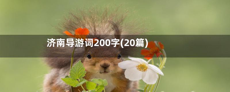 济南导游词200字(20篇)