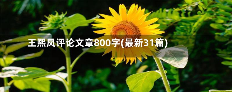 王熙凤评论文章800字(最新31篇)