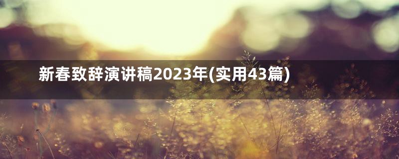 新春致辞演讲稿2023年(实用43篇)