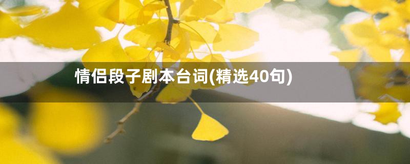 情侣段子剧本台词(精选40句)